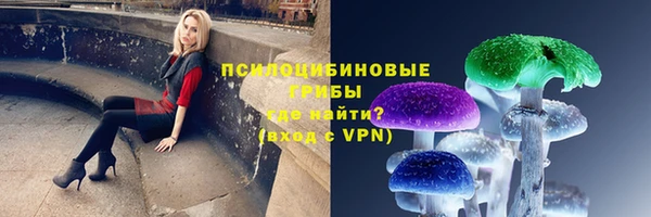 марки lsd Дмитриев