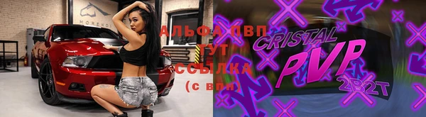 ECSTASY Дмитров