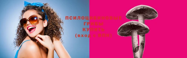 марки lsd Дмитриев