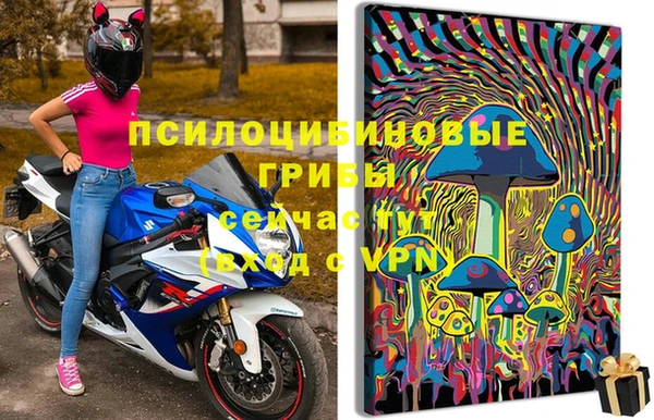 марки lsd Дмитриев