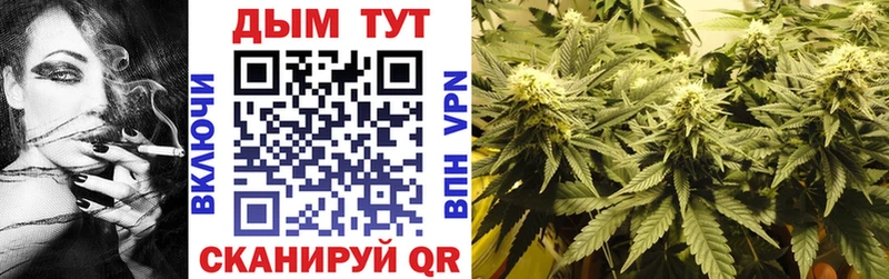 Шишки марихуана OG Kush наркота Димитровград
